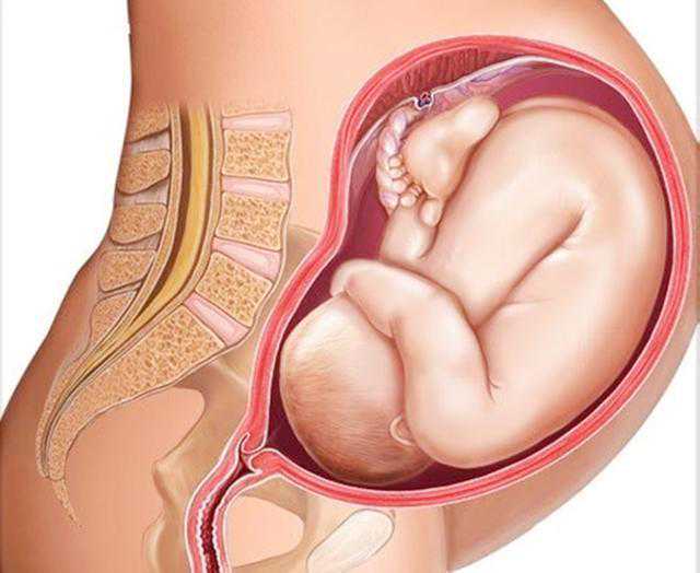 哪个医院能供卵_国内有供卵试管吗,北京排名最好的供卵机构有哪些，18家有3家