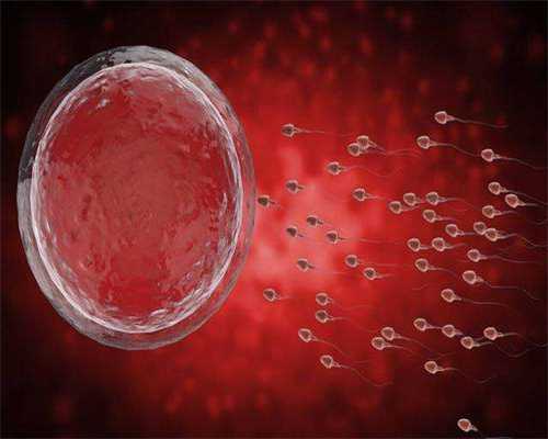 供卵孩子_供卵机构包男孩,天津供卵医院_天津正规供卵医院