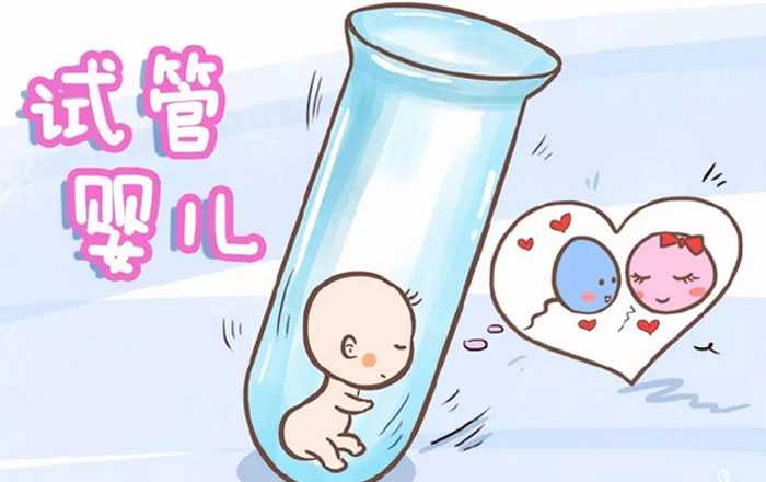 怀孕能不能吃榛子仁-试管助孕服务