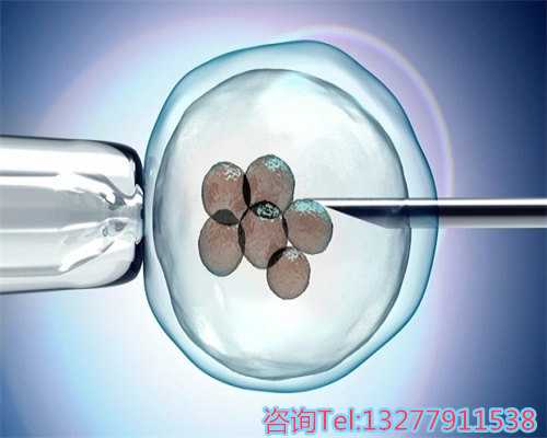 
              2026年上海试管婴儿医院排名中哪家做供卵成功率高？
            