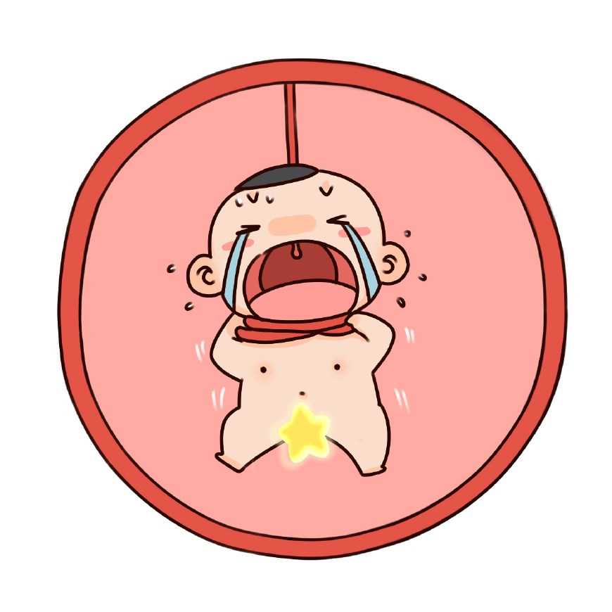 移植人工周期流程-正规规孕机构