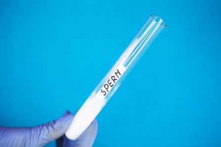 鲁吉亚试管养囊成功率一览