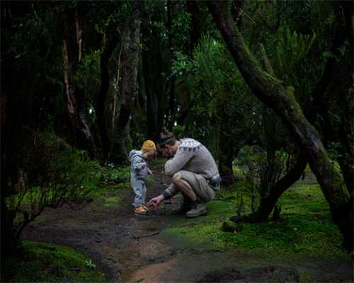 供卵专业机构_供卵试管公司,辽宁省锦州市2026年最新供卵试管助孕医院排名汇总