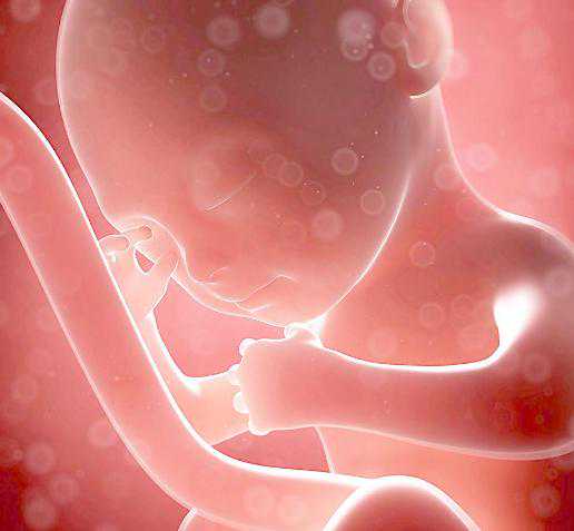 试管供卵婴儿_供卵借卵,福清市试管婴儿海外供卵