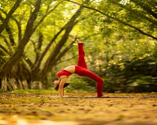 供卵试管婴儿经历_供卵机构靠谱吗,怎么联系台湾供卵试管(永州供卵试管机构怎
