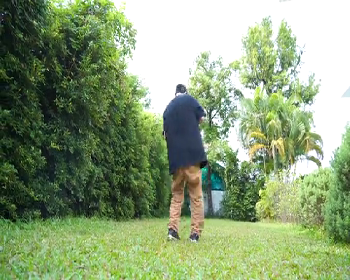 囊胚4bc和4cb质量怎么样，分别表示什么意思？