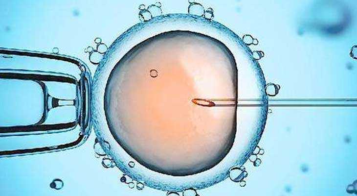 资溪县47岁卵巢早衰的补救办法_试管婴儿，胚胎级别取决于女性卵子的质量？男